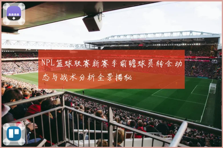 NPL篮球联赛新赛季前瞻球员转会动态与战术分析全景揭秘