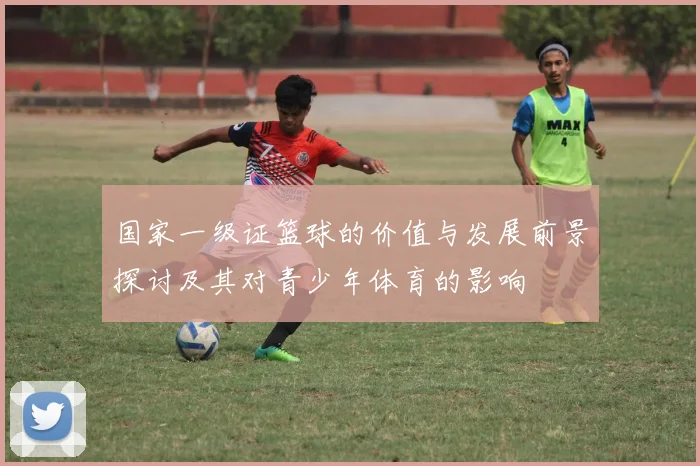 国家一级证篮球的价值与发展前景探讨及其对青少年体育的影响