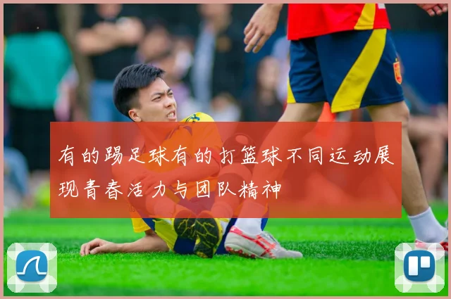 有的踢足球有的打篮球不同运动展现青春活力与团队精神