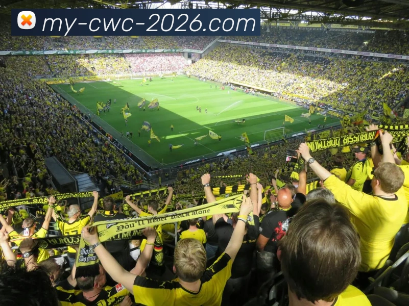 World Cup服务体系